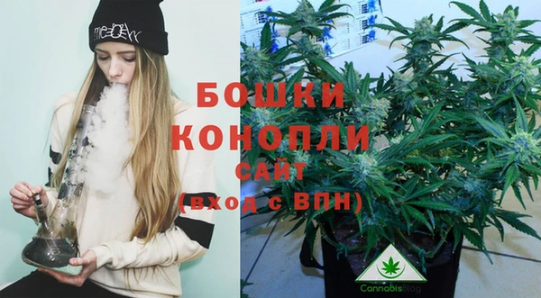 2c-b Дмитриев