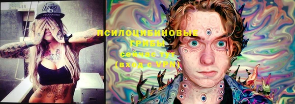 spice Туринск