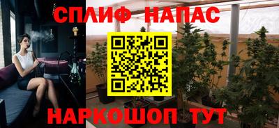 a pvp Дубна