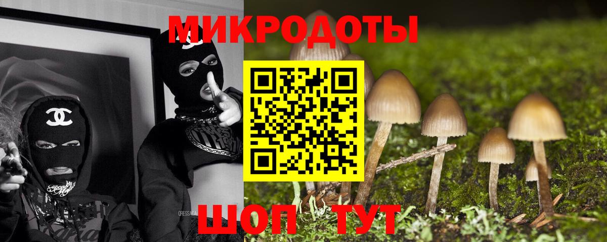 Галлюциногенные грибы Cubensis  Псилоцибиновые грибы Cubensis  Вход с VPN  Обь 