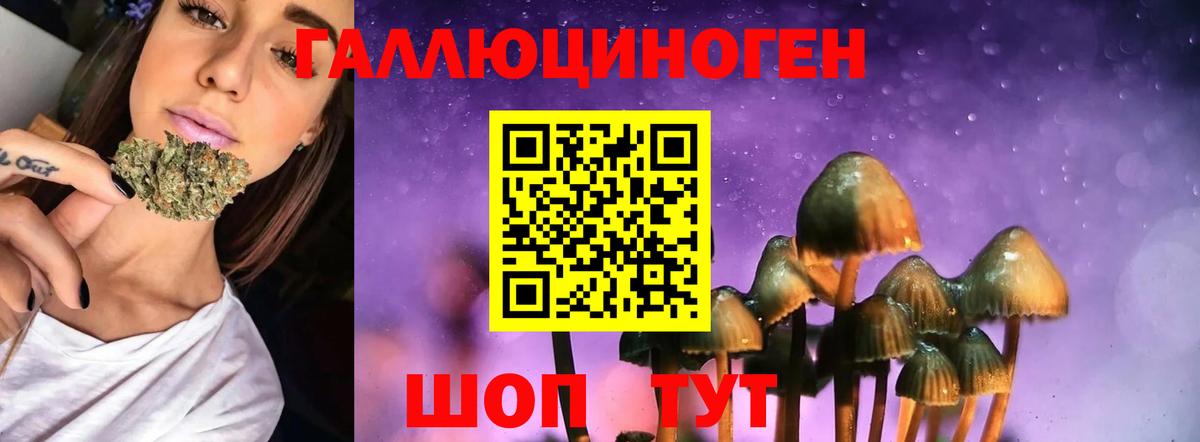 Галлюциногенные грибы прущие грибы Обь